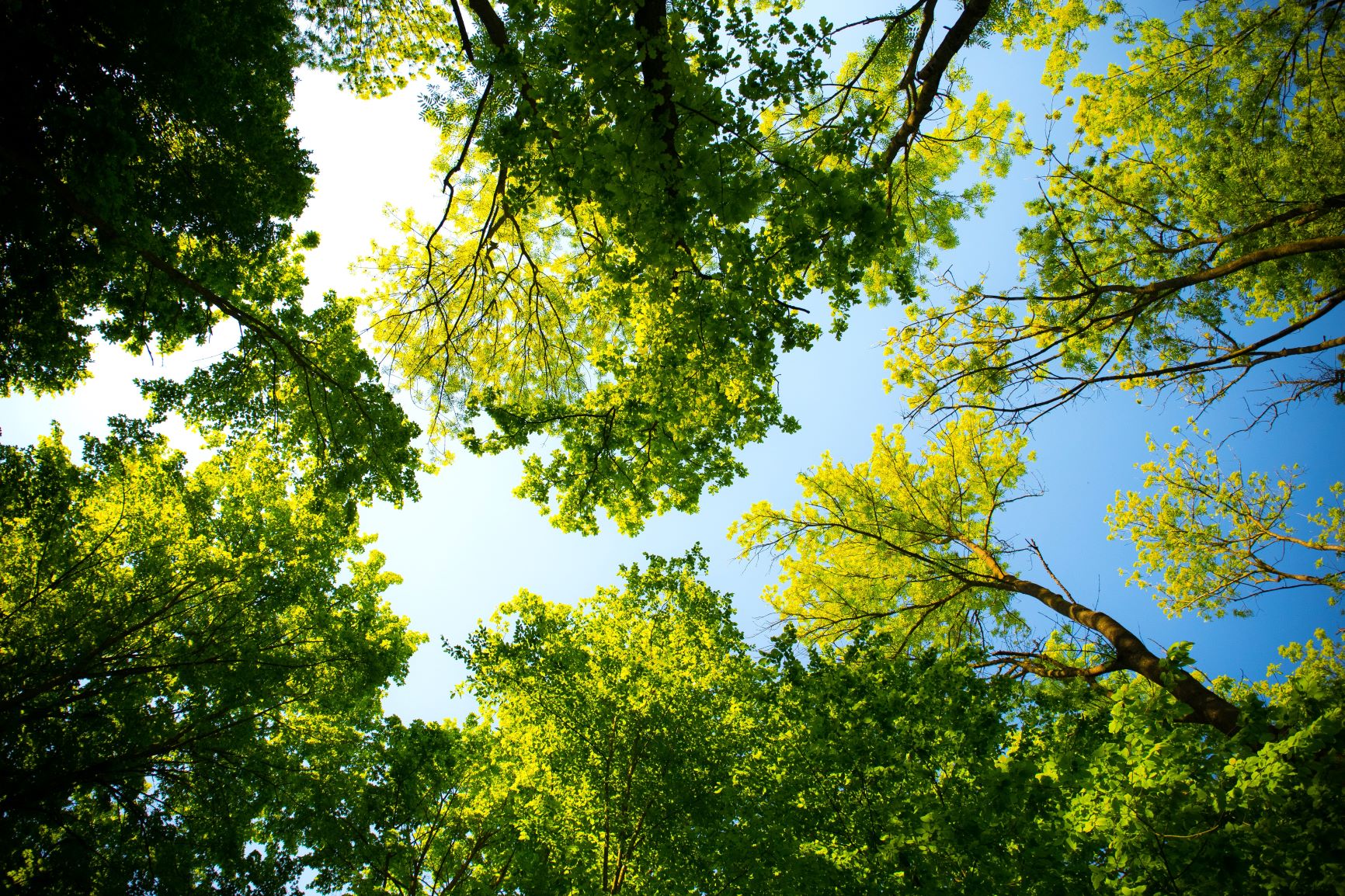 Ecotone rejoint le Science Based Targets Network Corporate Engagement Program